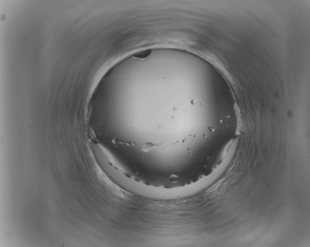 X0000073991532200609111520