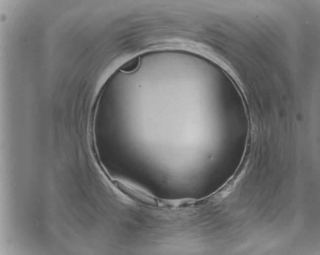 X0000073991533200609111520