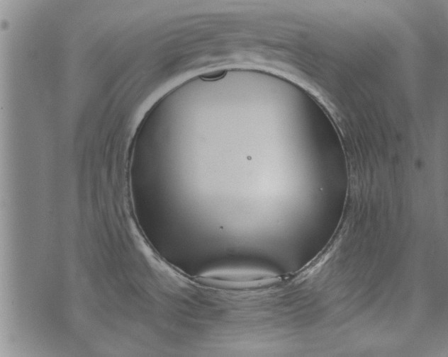 X0000073991534200609111520