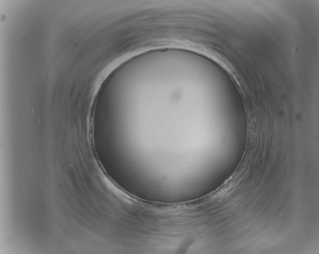 X0000073991535200609111520