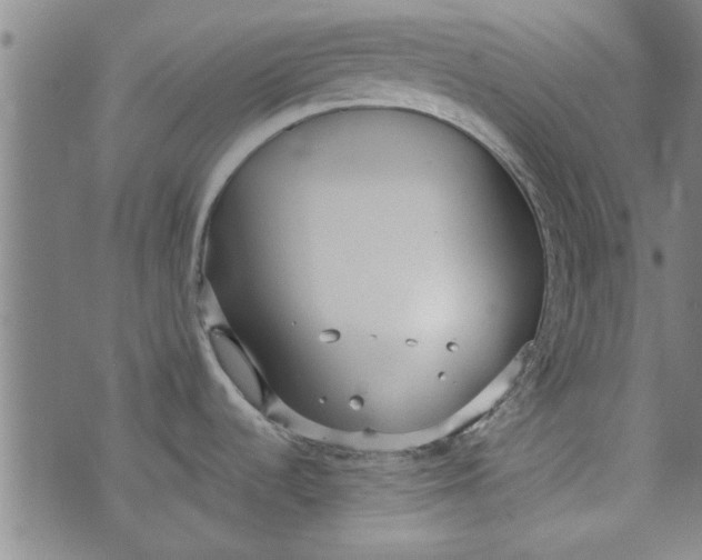 X0000073991536200609111520