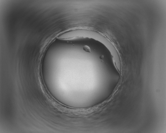 X0000073990001200609181754