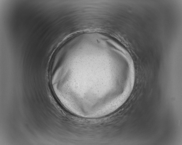 X0000073990002200609181754