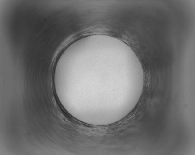 X0000073990004200609181754