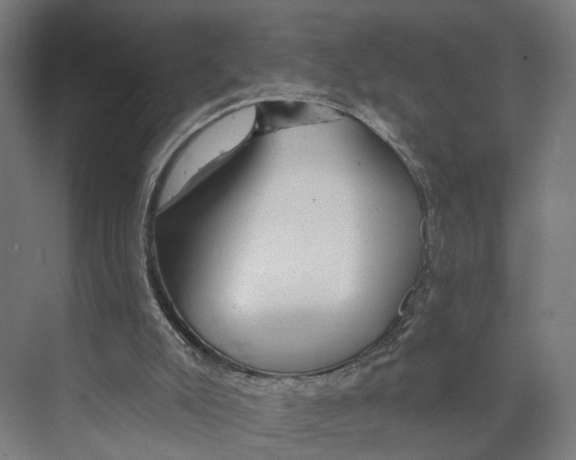 X0000073990007200609181754