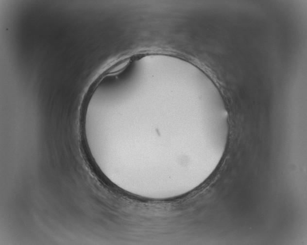 X0000073990008200609181754