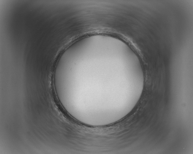 X0000073990010200609181754