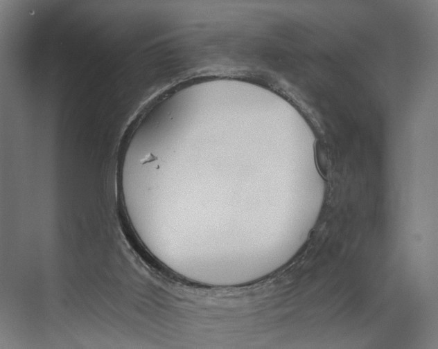 X0000073990011200609181754