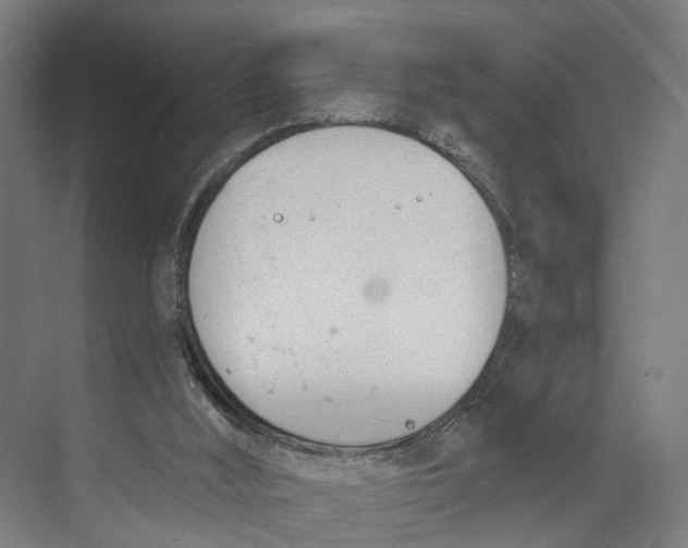 X0000073990012200609181754