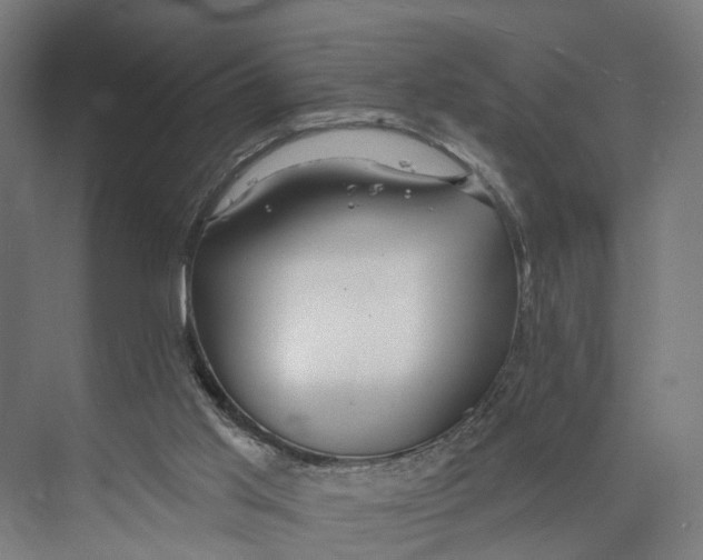 X0000073990013200609181754