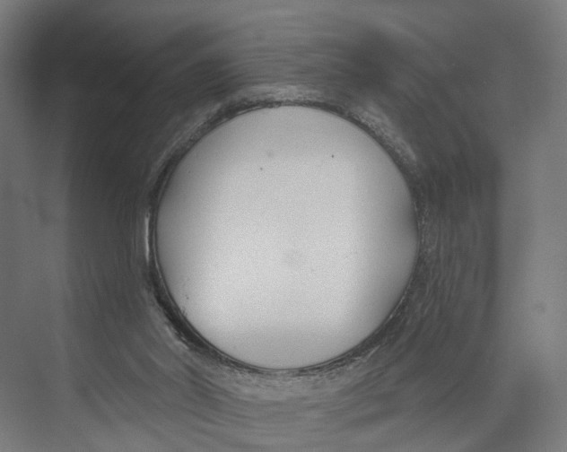 X0000073990014200609181754