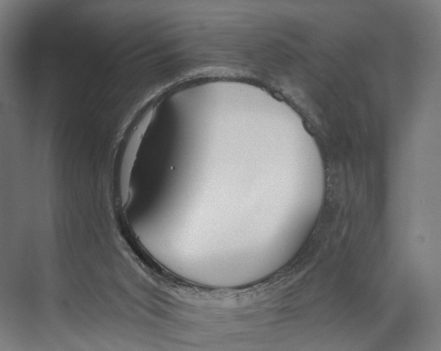 X0000073990015200609181754