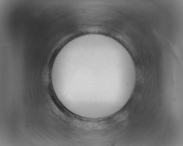 X0000073990016200609181754