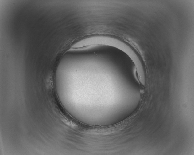 X0000073990017200609181754