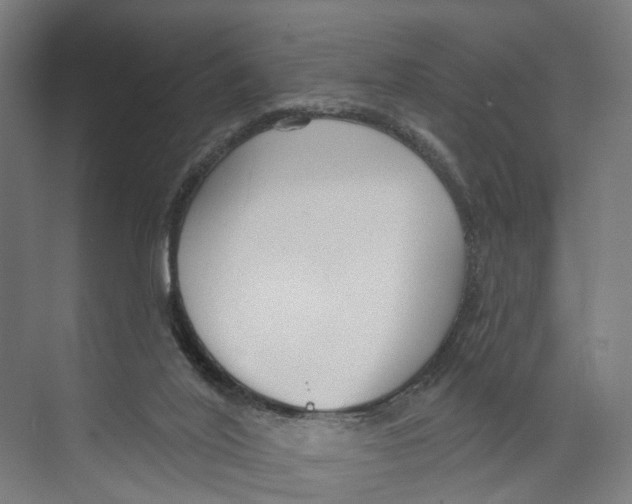 X0000073990020200609181754