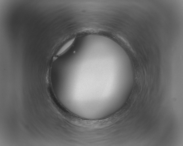 X0000073990023200609181754