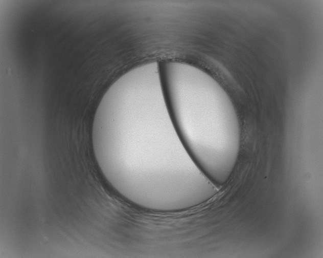 X0000073990025200609181754