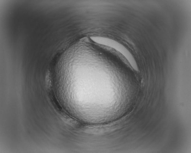 X0000073990029200609181754