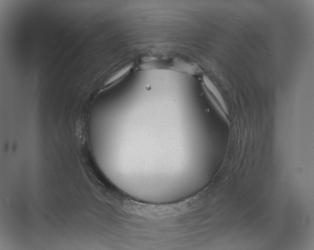 X0000073990031200609181754