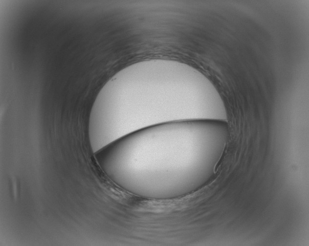 X0000073990033200609181754