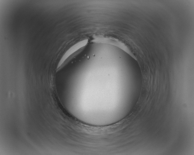 X0000073990035200609181754