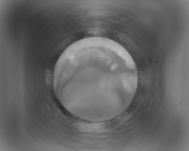 X0000073990036200609181754