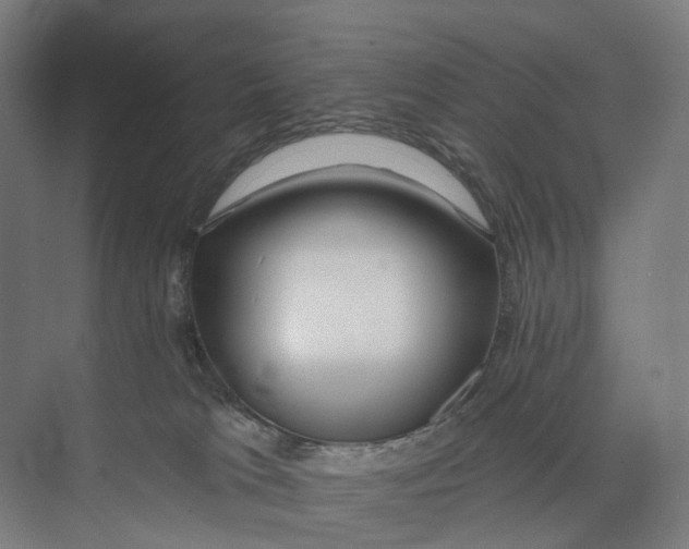 X0000073990037200609181754