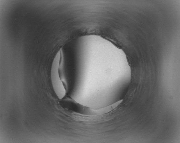 X0000073990039200609181754