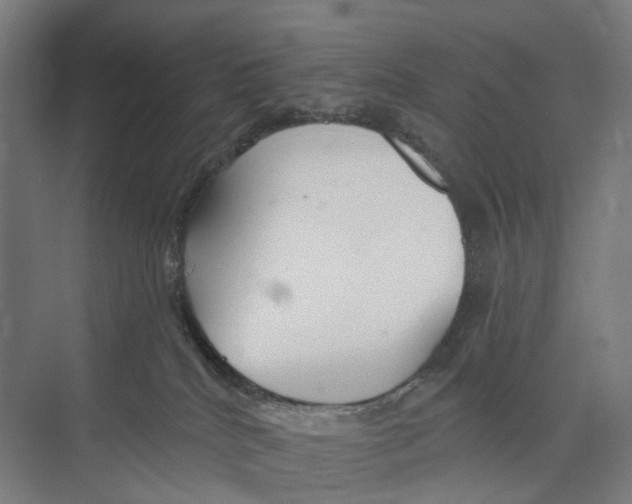 X0000073990040200609181754