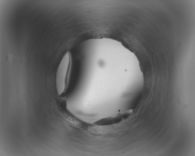 X0000073990041200609181754