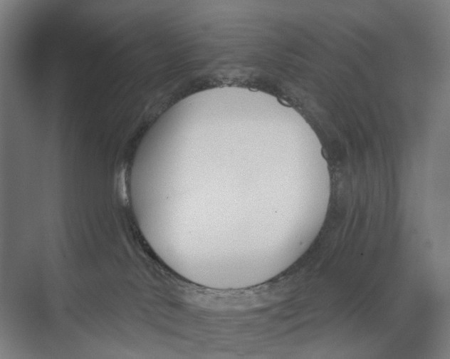 X0000073990042200609181754