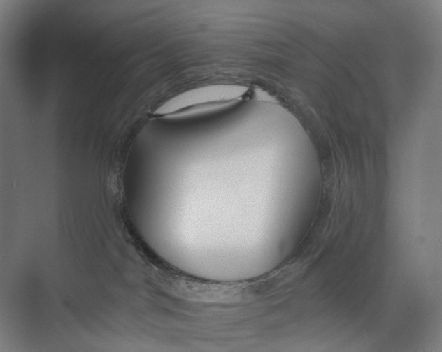 X0000073990044200609181754