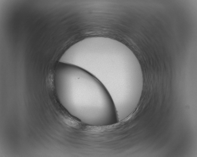 X0000073990045200609181753