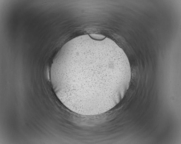 X0000073990046200609181753