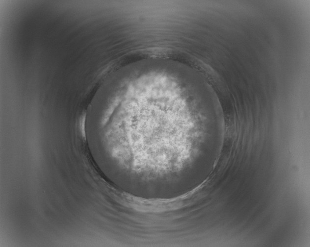 X0000073990047200609181753