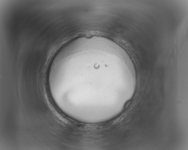 X0000073990049200609181753