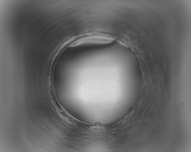 X0000073990050200609181753