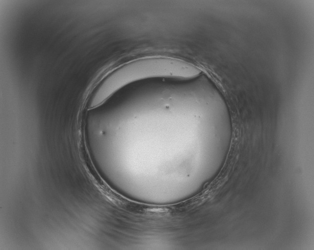 X0000073990053200609181753