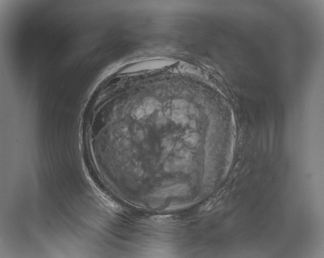 X0000073990054200609181753