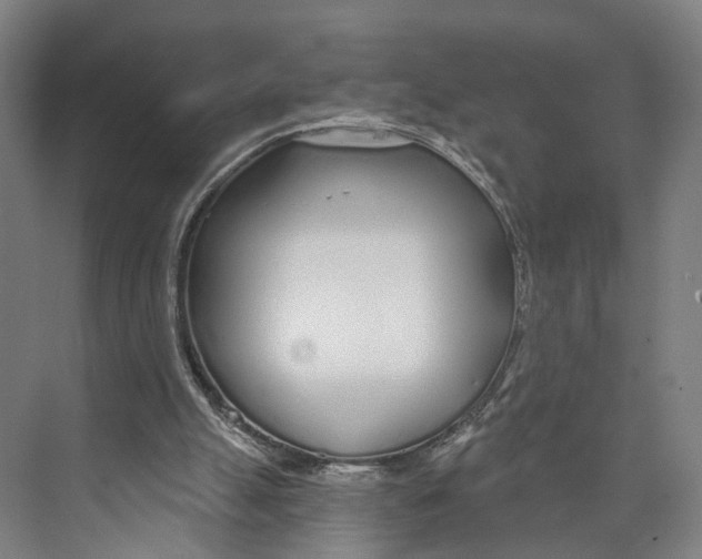 X0000073990055200609181753