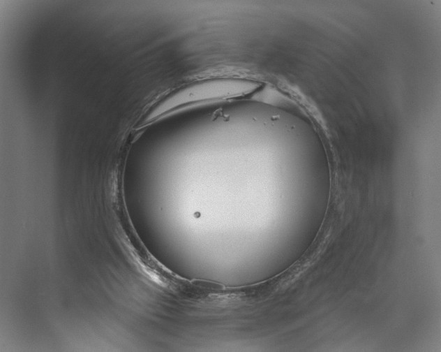 X0000073990057200609181753