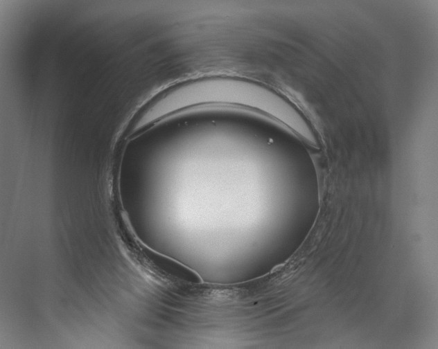 X0000073990060200609181753