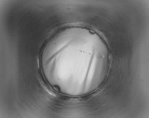 X0000073990061200609181753