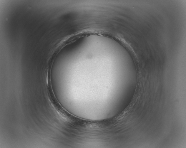 X0000073990062200609181753