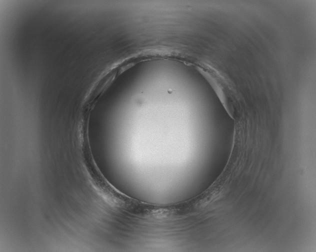 X0000073990064200609181753