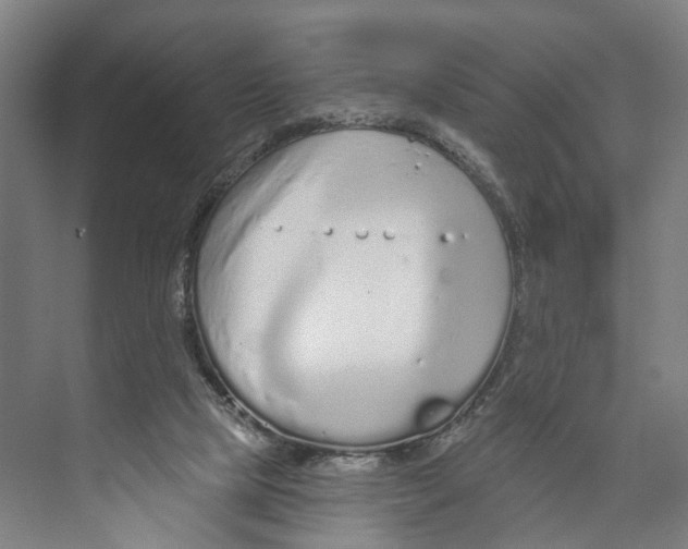 X0000073990065200609181753