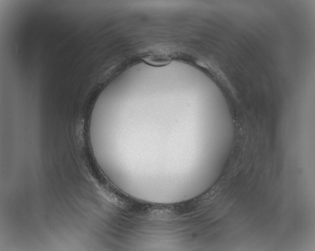 X0000073990066200609181753