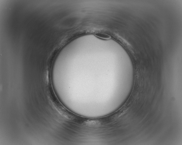 X0000073990067200609181753