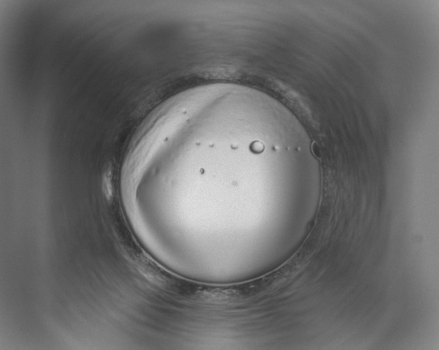 X0000073990069200609181753