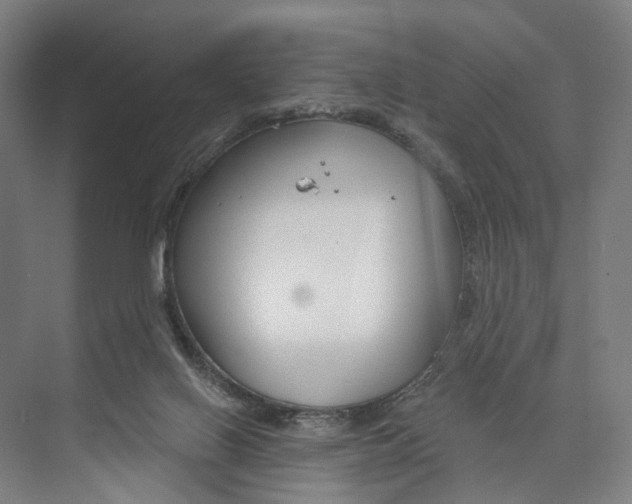 X0000073990070200609181753